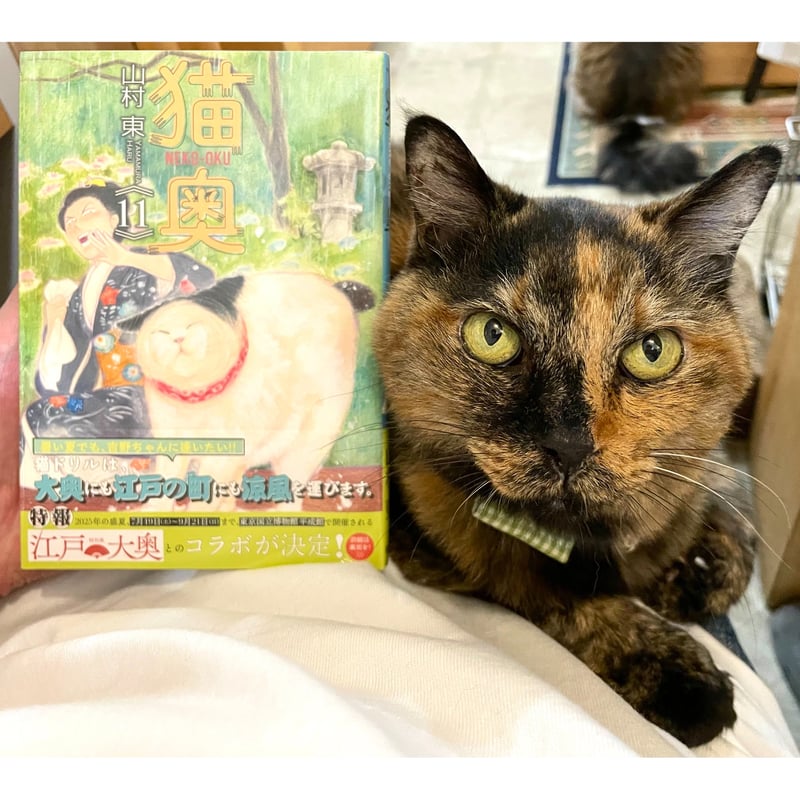 猫奥（1～11巻） | Cat's Meow Books Virtual Shop β