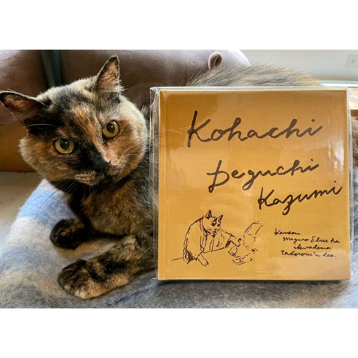 出口かずみ　さん　作品　原画　　小八　「ポチッとな」 出口かずみ さん 作品 原画 小八 「ポチッとな」
