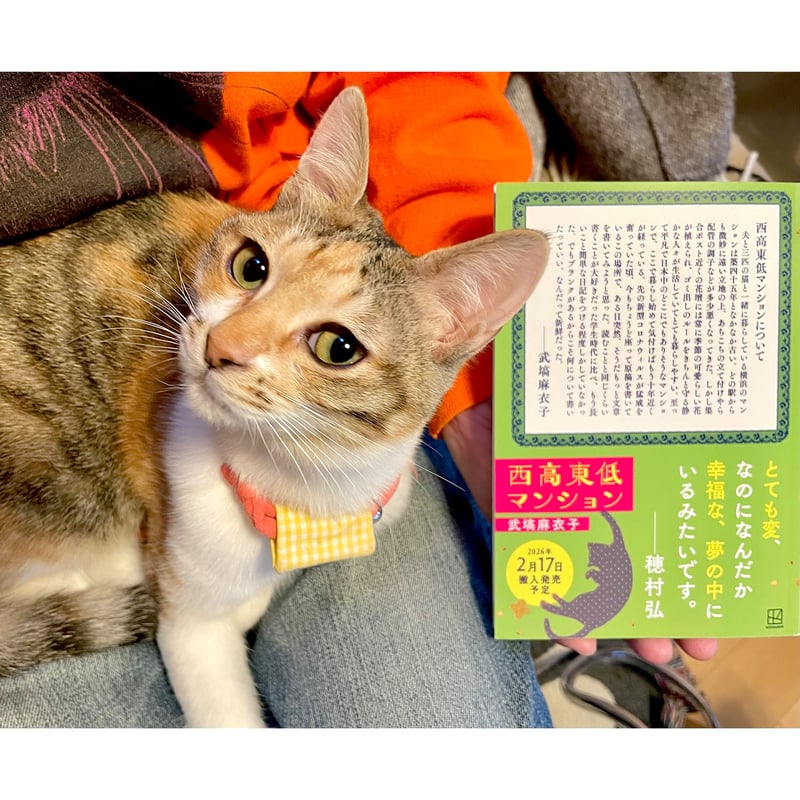 希少　サイン入り　REIGNING CATS & DOGS 直筆サイン入り】西高東低マンション | Cat's Meow Books Virtual S