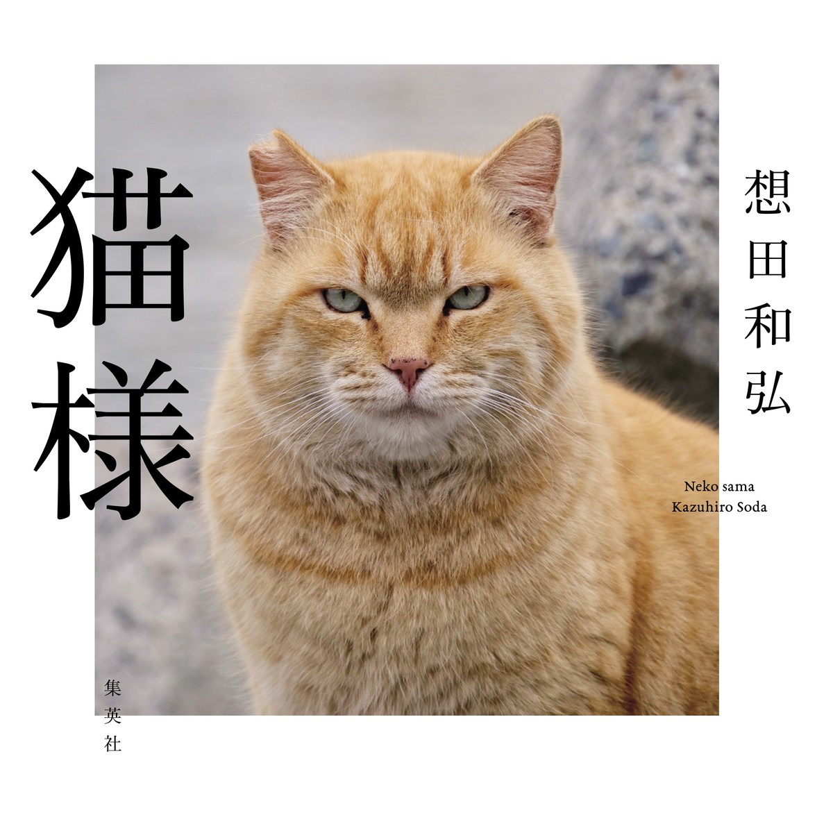 猫様 | Cat's Meow Books Virtual Shop β