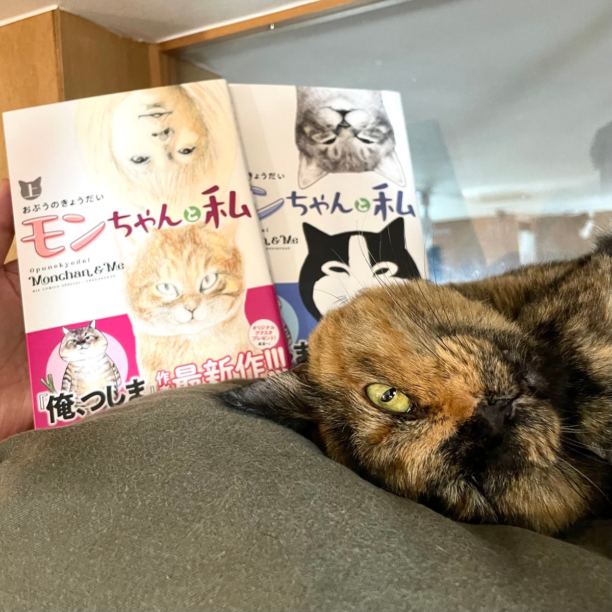 モンちゃんと私（上下巻セット） | Cat's Meow Books Virtual Shop β