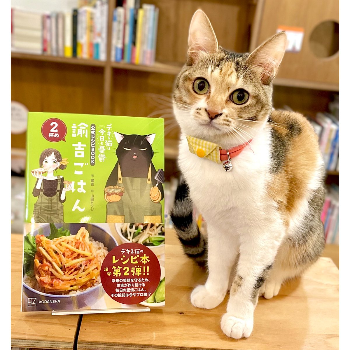 デキる猫は今日も憂鬱 公式レシピBOOK 諭吉ごはん | Cat's Meow Books V