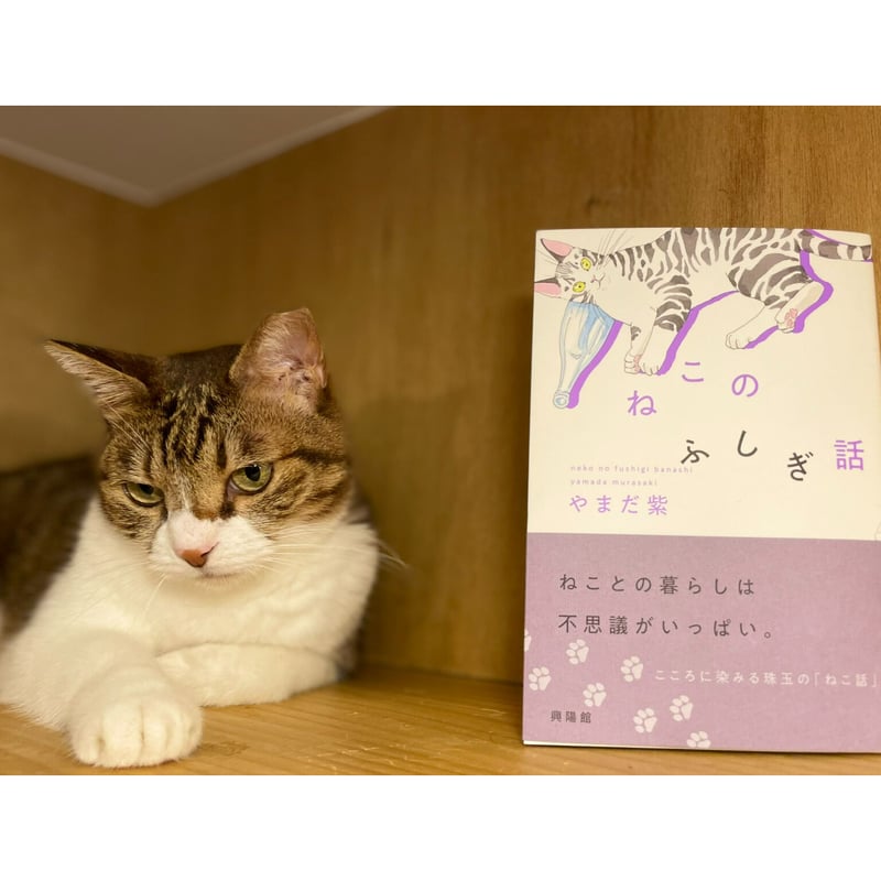 ねこのふしぎ話 | Cat's Meow Books Virtual Shop β
