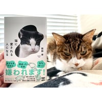 猫に愛される人になる