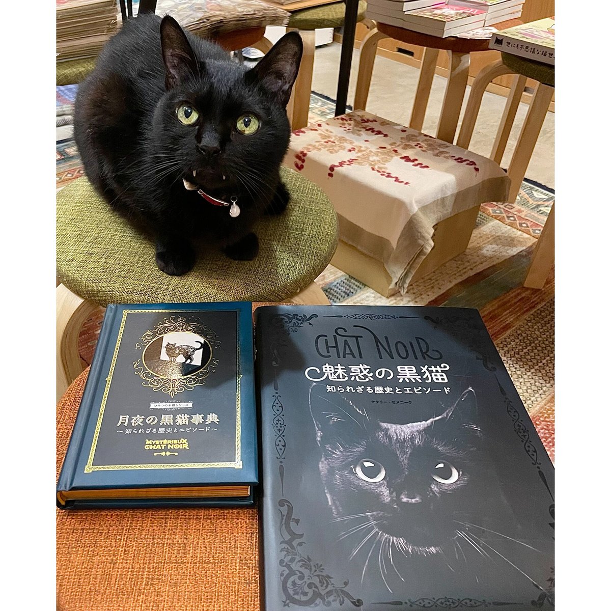 Books　月夜の黒猫事典　知られざる歴史とエピソード　Meow　Cat's　Virtua...