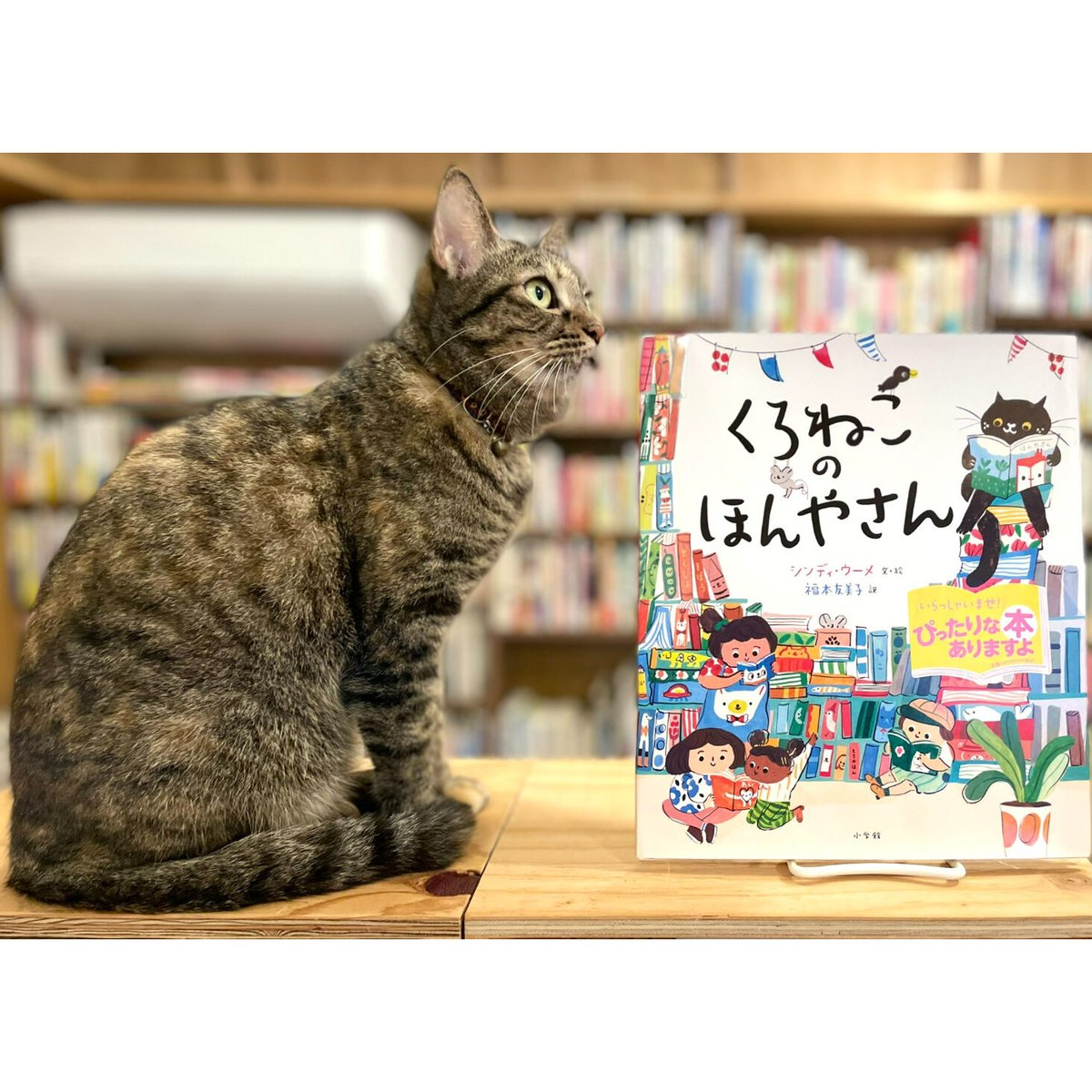 Shop　Virtual　Cat's　くろねこのほんやさん　Books　Meow　β