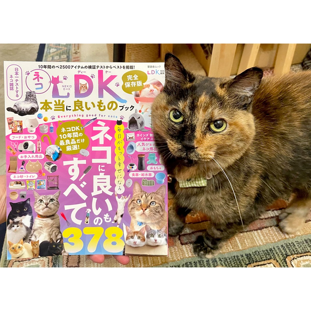 ネコDK 本当に良いものブック | Cat's Meow Books Virtual Shop β