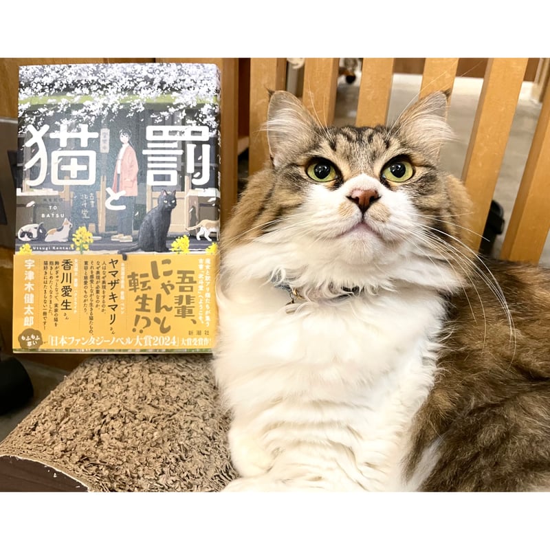 猫と罰 | Cat's Meow Books Virtual Shop β