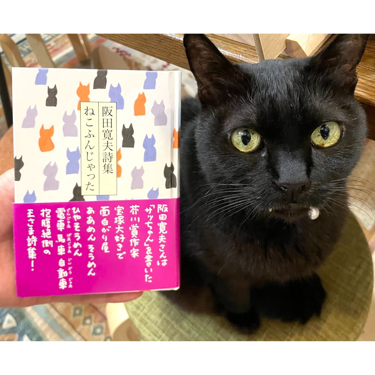 阪田寛夫詩集 ねこふんじゃった | Cat's Meow Books Virtual Shop β