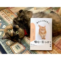 最新版 獣医にゃんとすの猫をもっと幸せにする「げぼく」の教科書