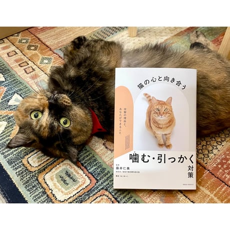 みゃうさん専用　11本 みゃうさん専用 11本 みゃうさん専用 11本 Cat's Meow Books Virtual