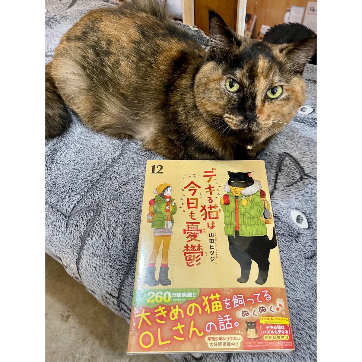 デキる猫は今日も憂鬱１巻～12巻 山田ヒツジ デキる猫は今日も憂鬱（1～12巻） | Cat's Meow Books Virtual Sh