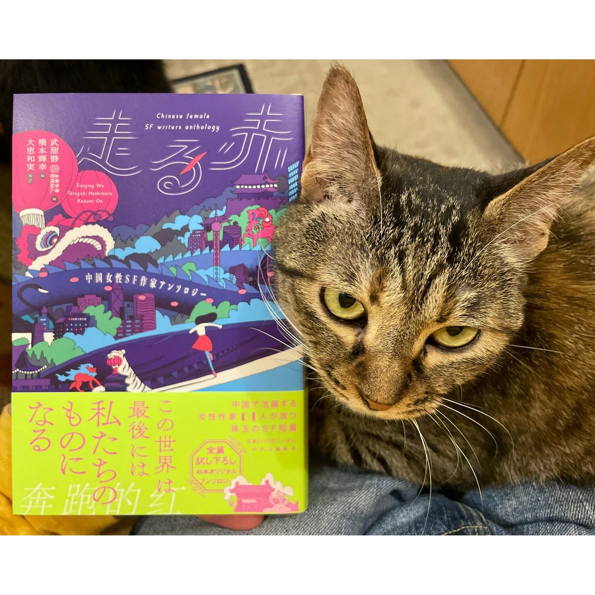 中国女性SF作家アンソロジー 走る赤 | Cat's Meow Books Virtual S...