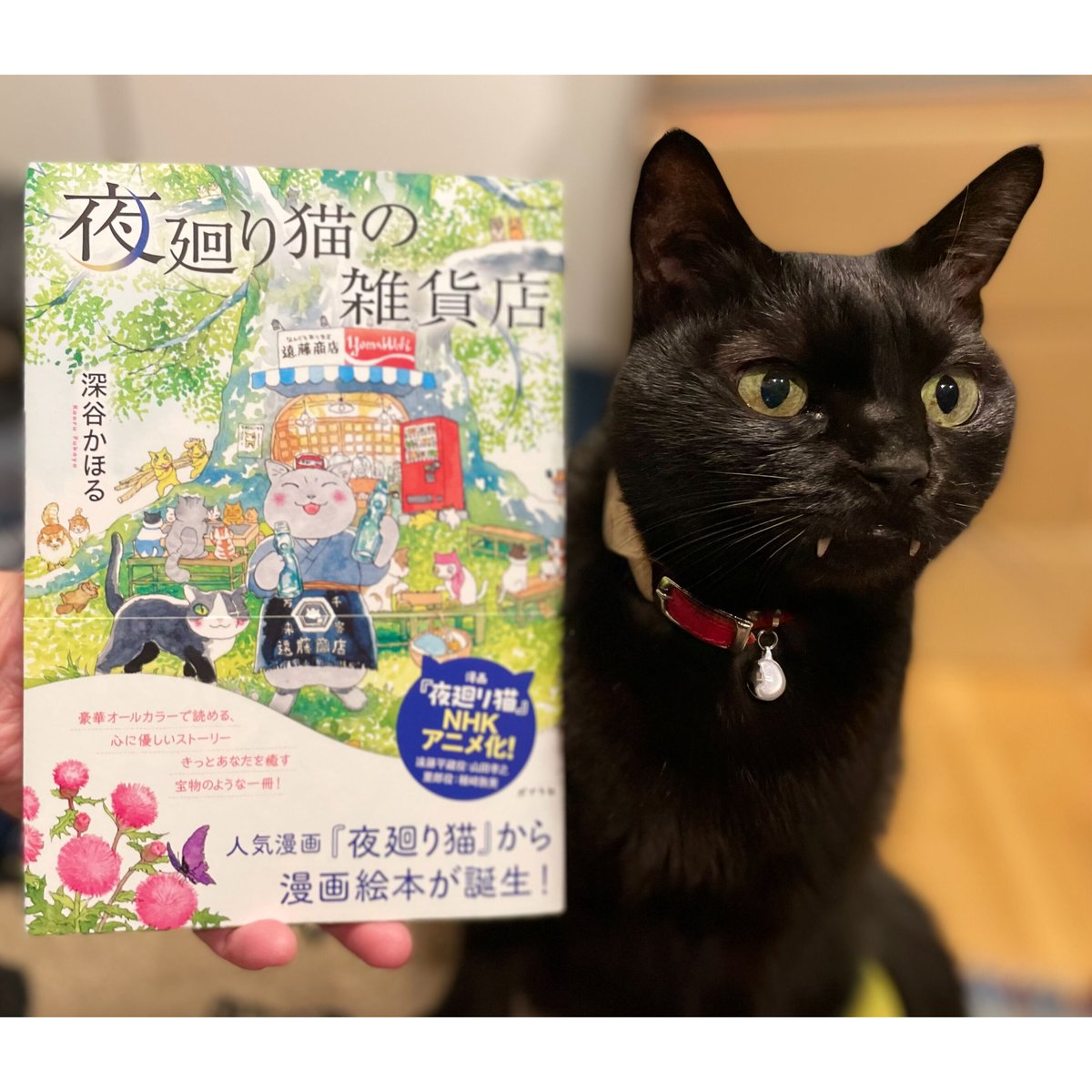 夜廻り猫の雑貨店 | Cat's Meow Books Virtual Shop β