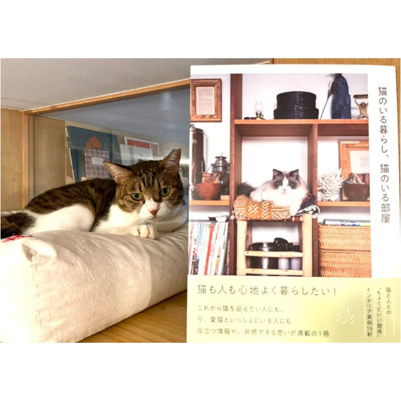 【猫が居る生活】 猫のいる暮らし、猫のいる部屋 | Cat's Meow Books Virtual Shop β