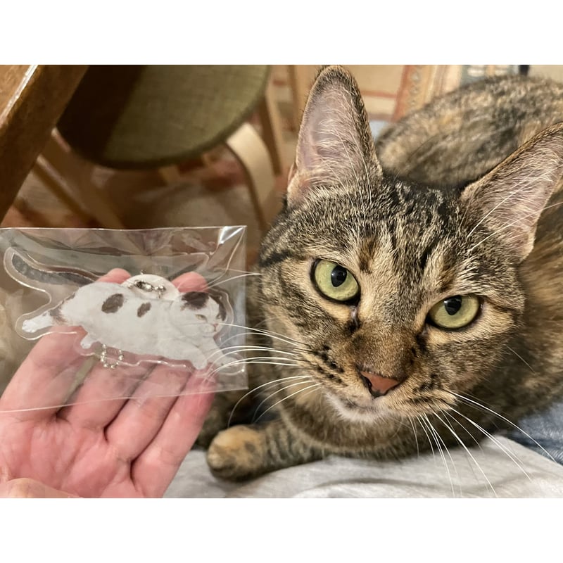 町田尚子 アクリルキーホルダー（白木のピョン） | Cat's Meow Books