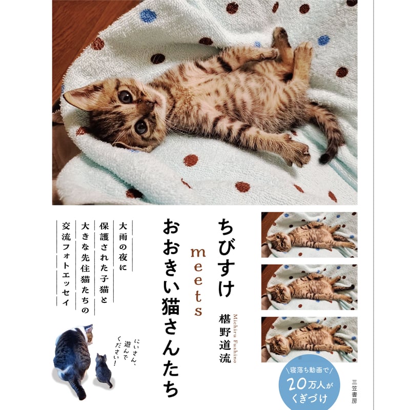 ちびすけ様オーダー