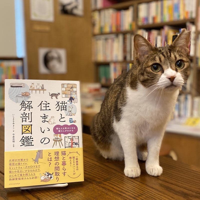 猫と住まいの解剖図鑑 | Cat's Meow Books Virtual Shop β 猫と住まいの解剖図鑑 | Cat's Meow Books Virtual Shop β