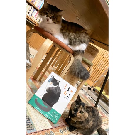 みゃうさん専用　11本 次号付録情報】オトナミューズ11月号の付録はemmi×SHAKAの