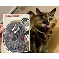 水はみどろの宮