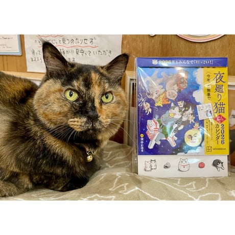 みゃうさん専用　11本 みゃうさん専用 11本 Cat's Meow Books Virtual Shop β