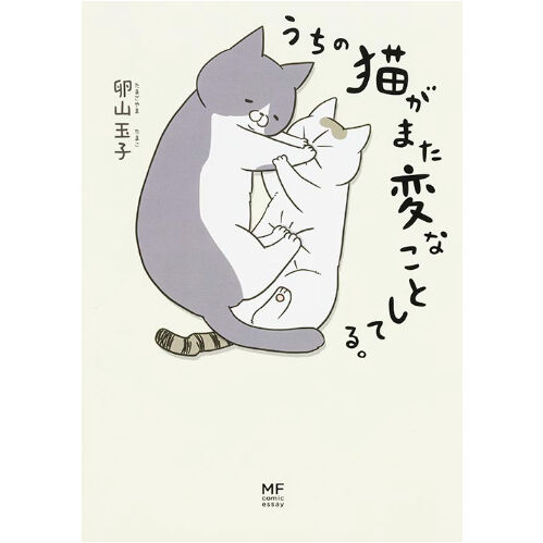 うちの猫です☺️ fit=scale-down,w=1200