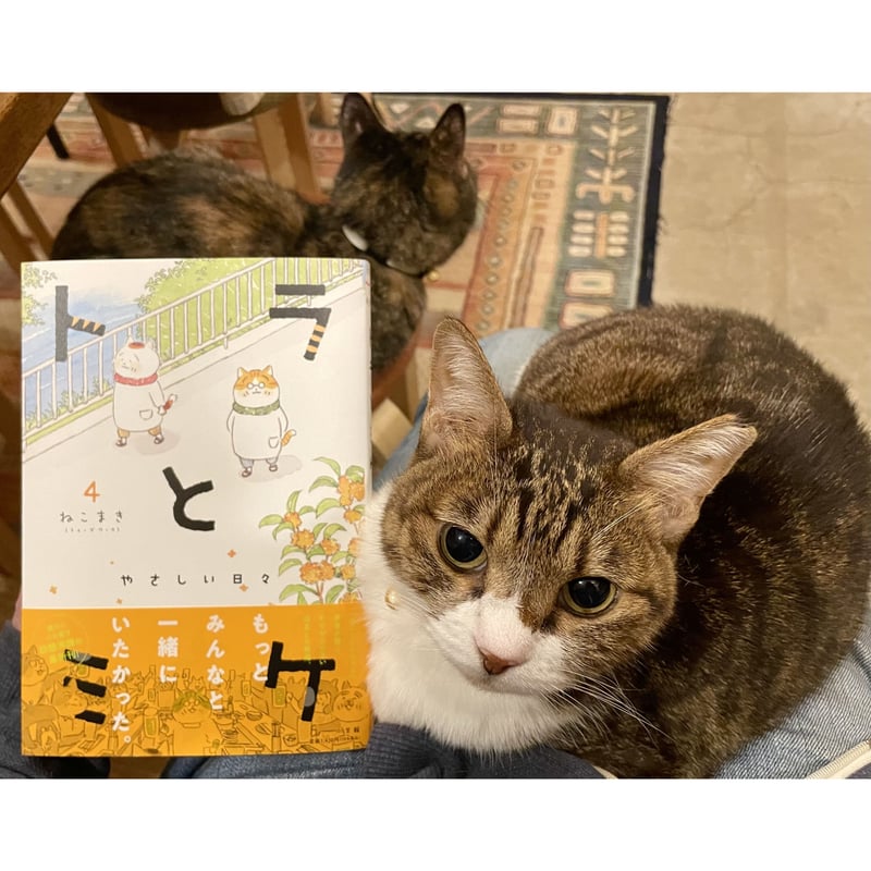 トラとミケ (4)（※説明にある「送料について」をお読みください
