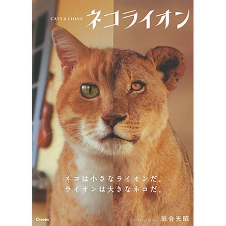 ネコライオン（文庫）
