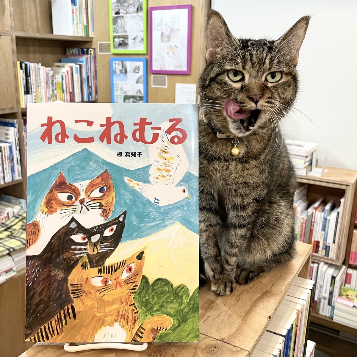 ねこねむる | Cat's Meow Books Virtual Shop β