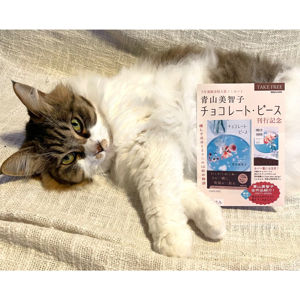 チョコレート・ピース | Cat's Meow Books Virtual Shop β