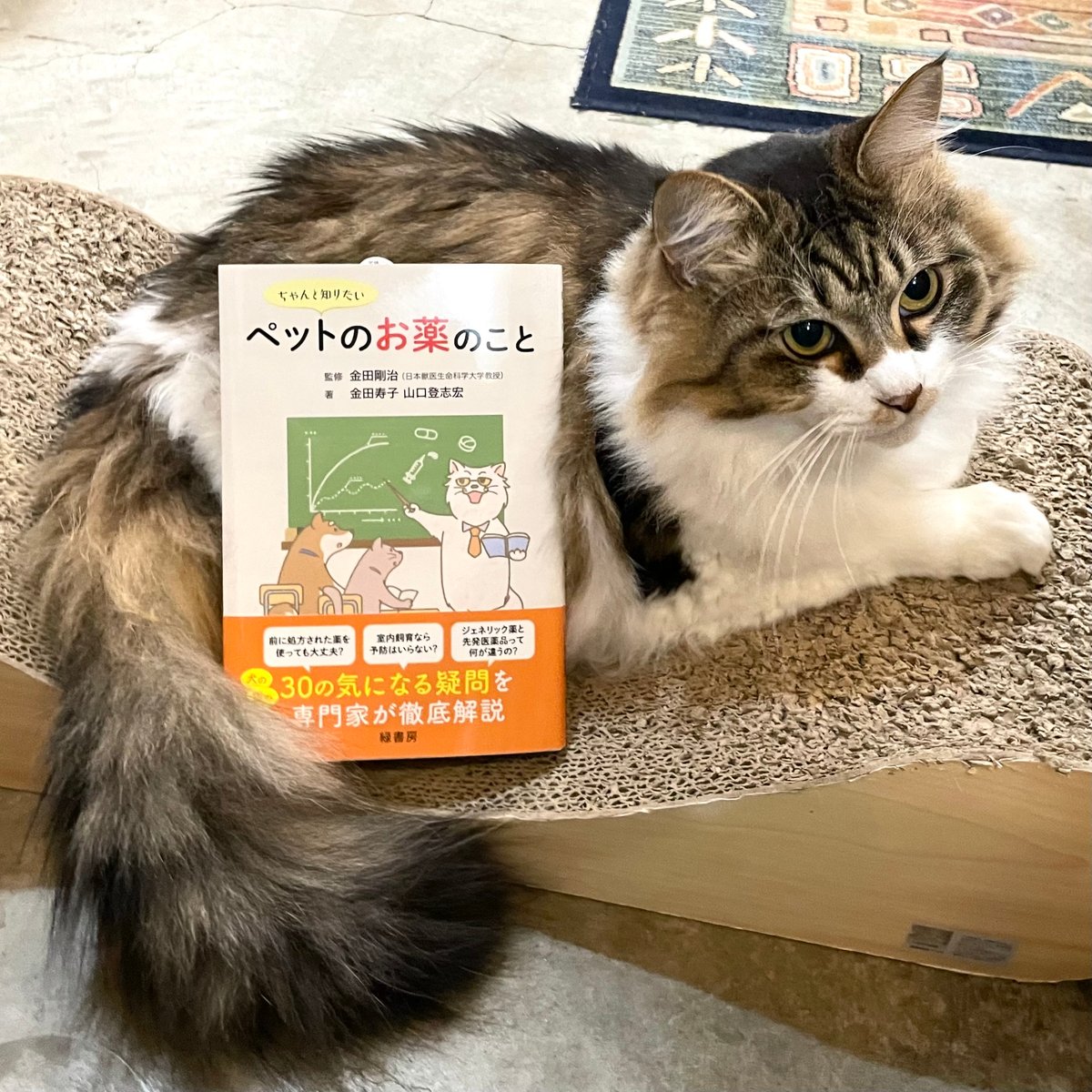 ちゃんと知りたいペットのお薬のこと | Cat's Meow Books Virtual Sh...