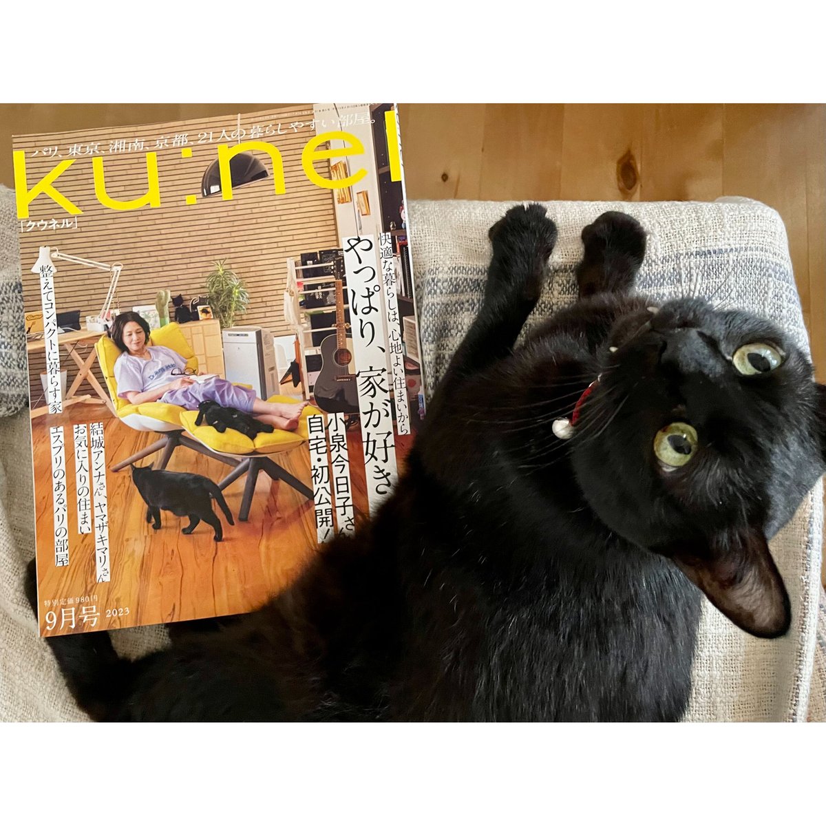 Meow　Ku:nel　(クウネル)　2023年9月号　Cat's　Books　Virtu...