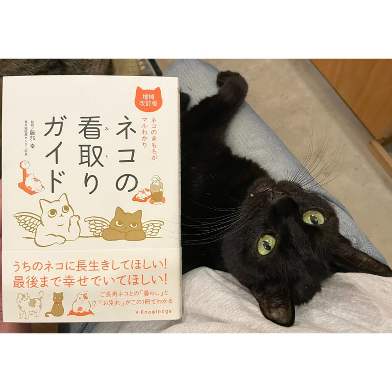 ネコの看取りガイド 増補改訂版 | Cat's Meow Books Virtual Shop β