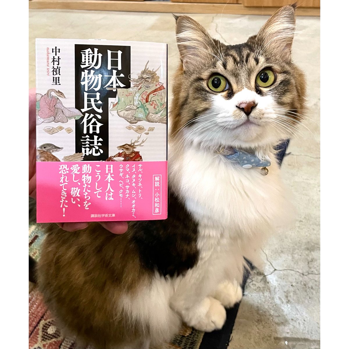 日本動物民俗誌 | Cat's Meow Books Virtual Shop β