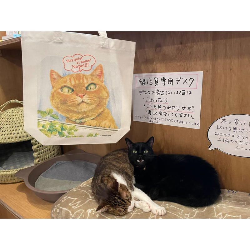 町田尚子「ねこはるすばん」トートバッグ | Cat's Meow Books Virtual