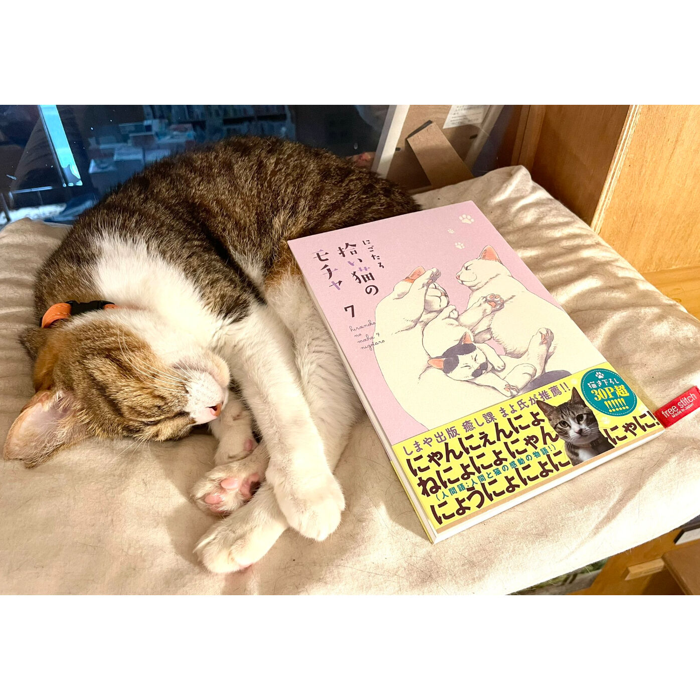 拾い猫のモチャ（全8巻） | Cat's Meow Books Virtual Shop β