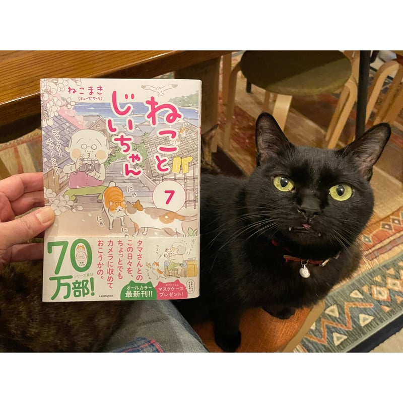 ねことじいちゃん | Cat's Meow Books Virtual Shop β ねことじいちゃん | Cat's Meow Books Virtual Shop β