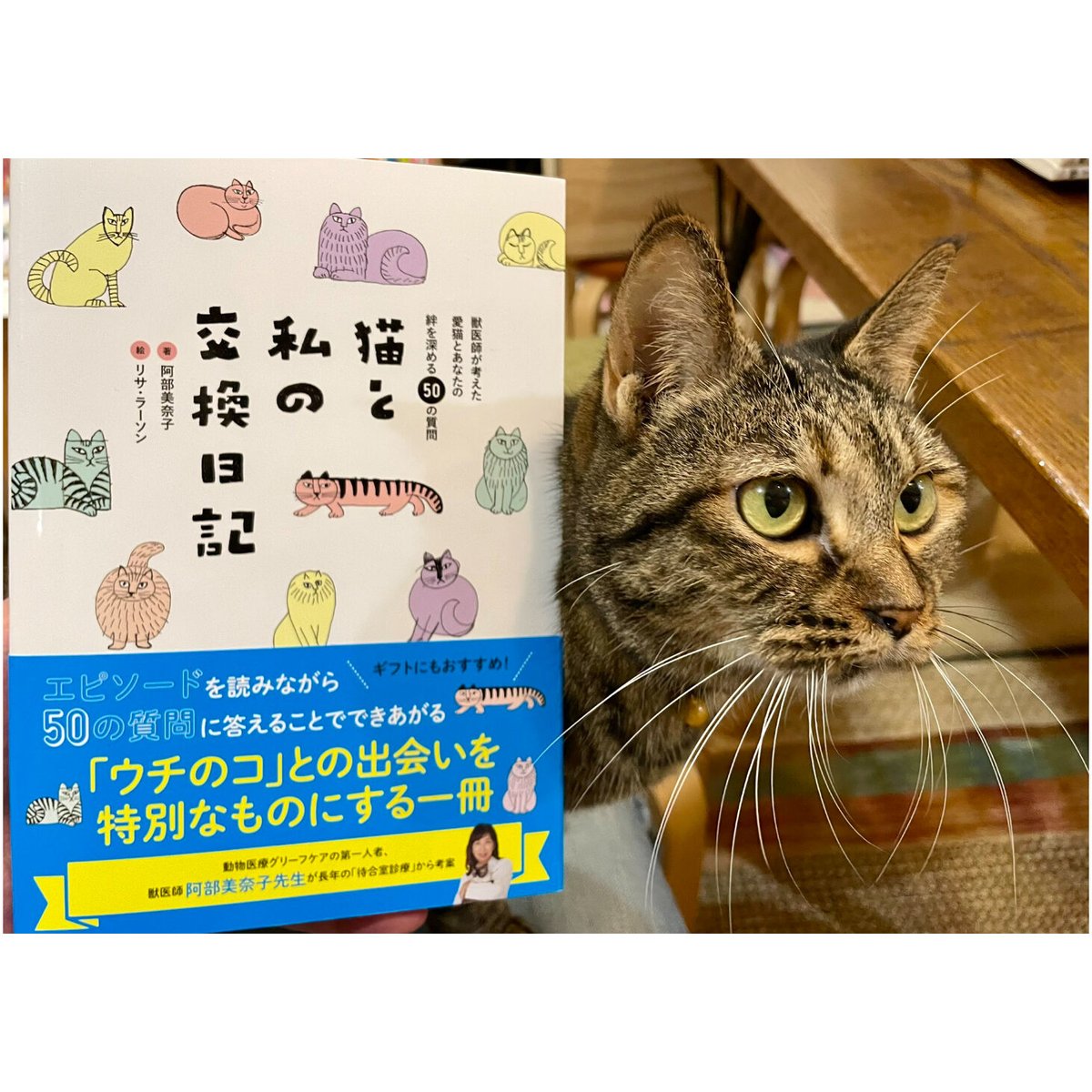 猫と私の交換日記 | Cat's Meow Books Virtual Shop β
