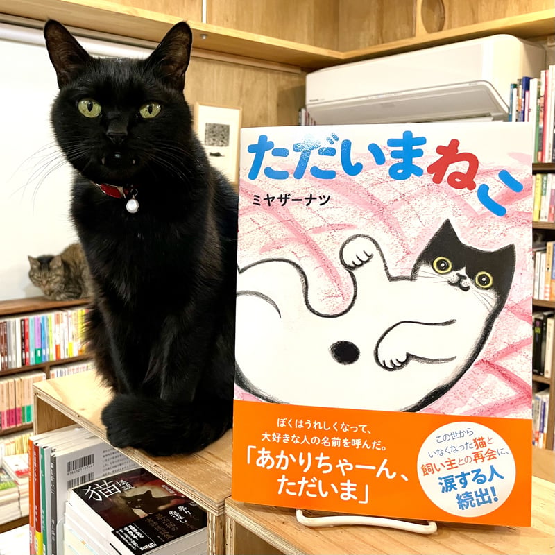ただいまねこ | Cat's Meow Books Virtual Shop β