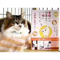 猫にまつわるコトバがぜんぶわかる!ねこまみれ事典 | Cat's 猫にまつわるコトバがぜんぶわかる!ねこまみれ事典 | Cat's