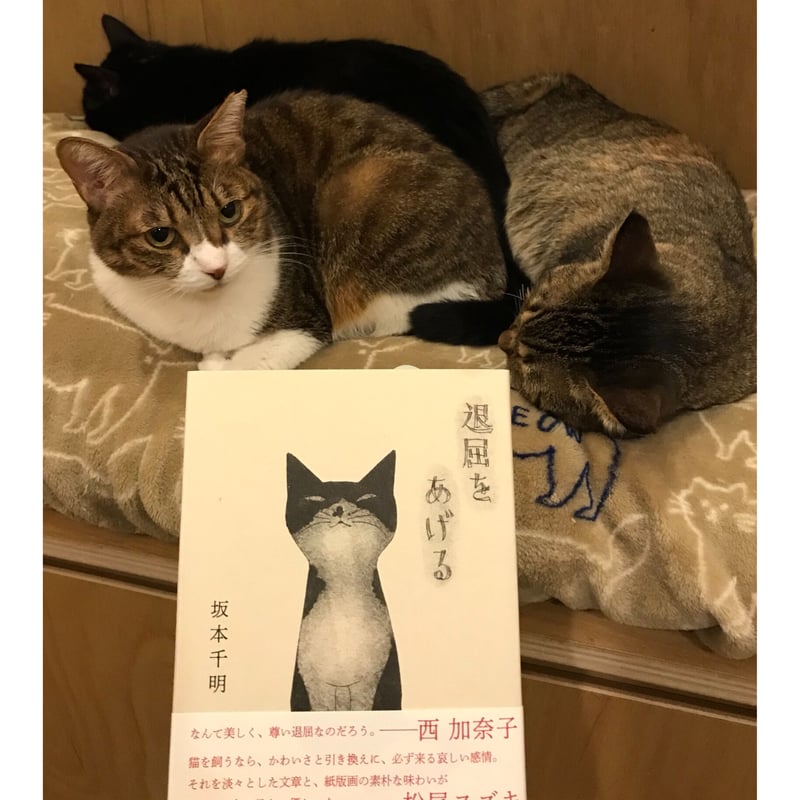 退屈をあげる | Cat's Meow Books Virtual Shop β