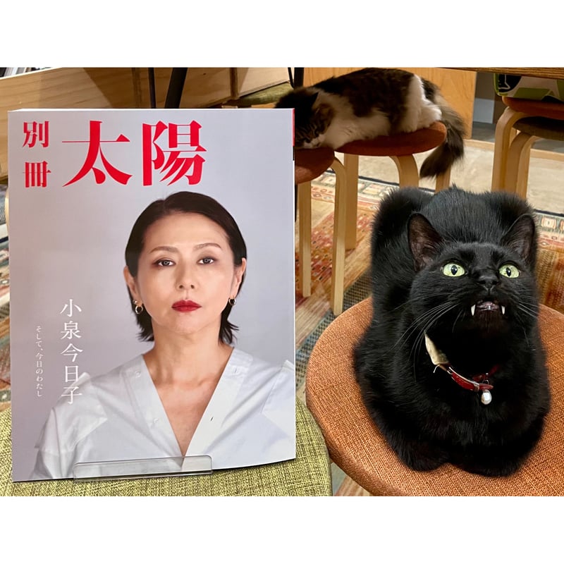 別冊太陽 小泉今日子 : そして、今日のわたし | Cat