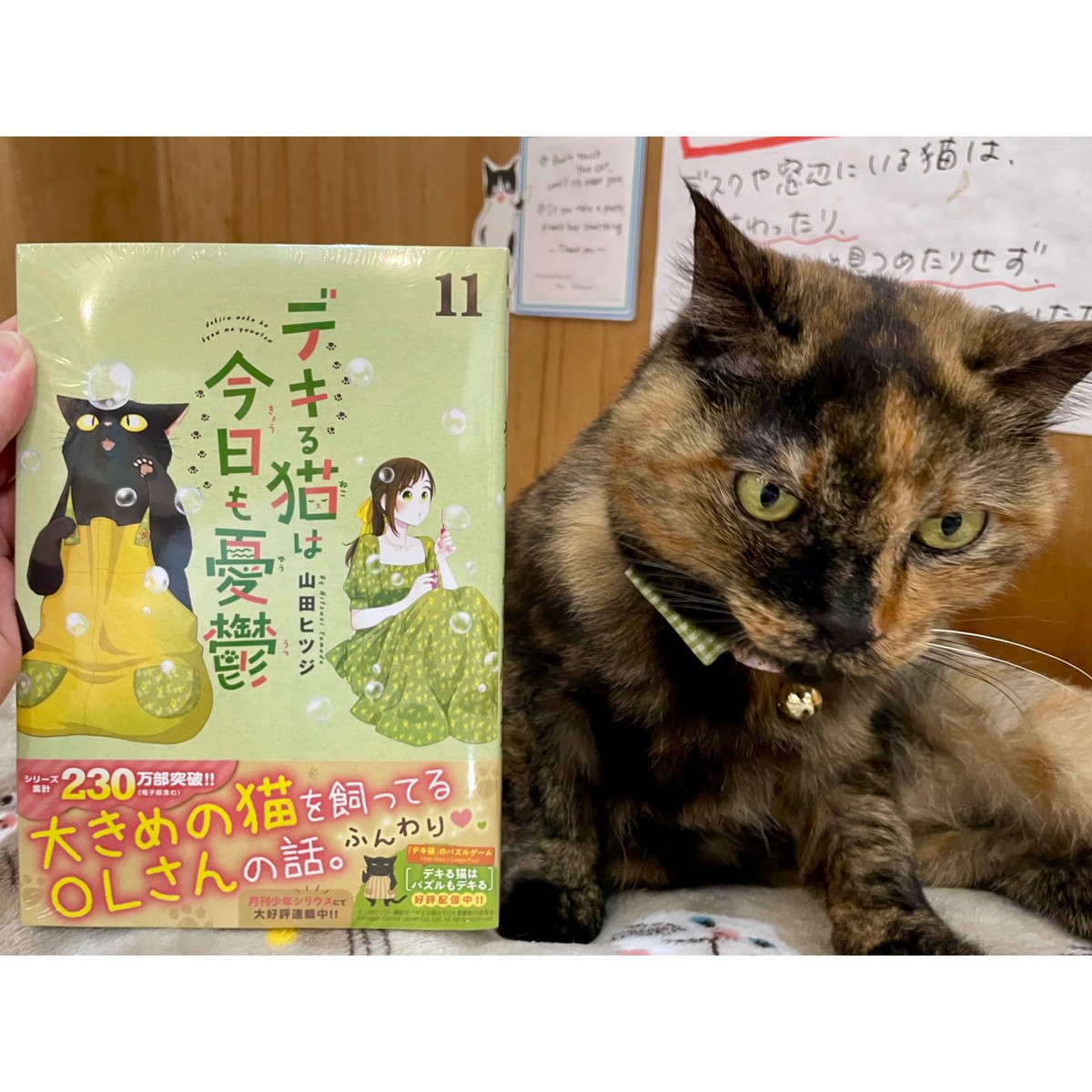 デキる猫は今日も憂鬱（1～11巻） | Cat's Meow Books Virtual Sh