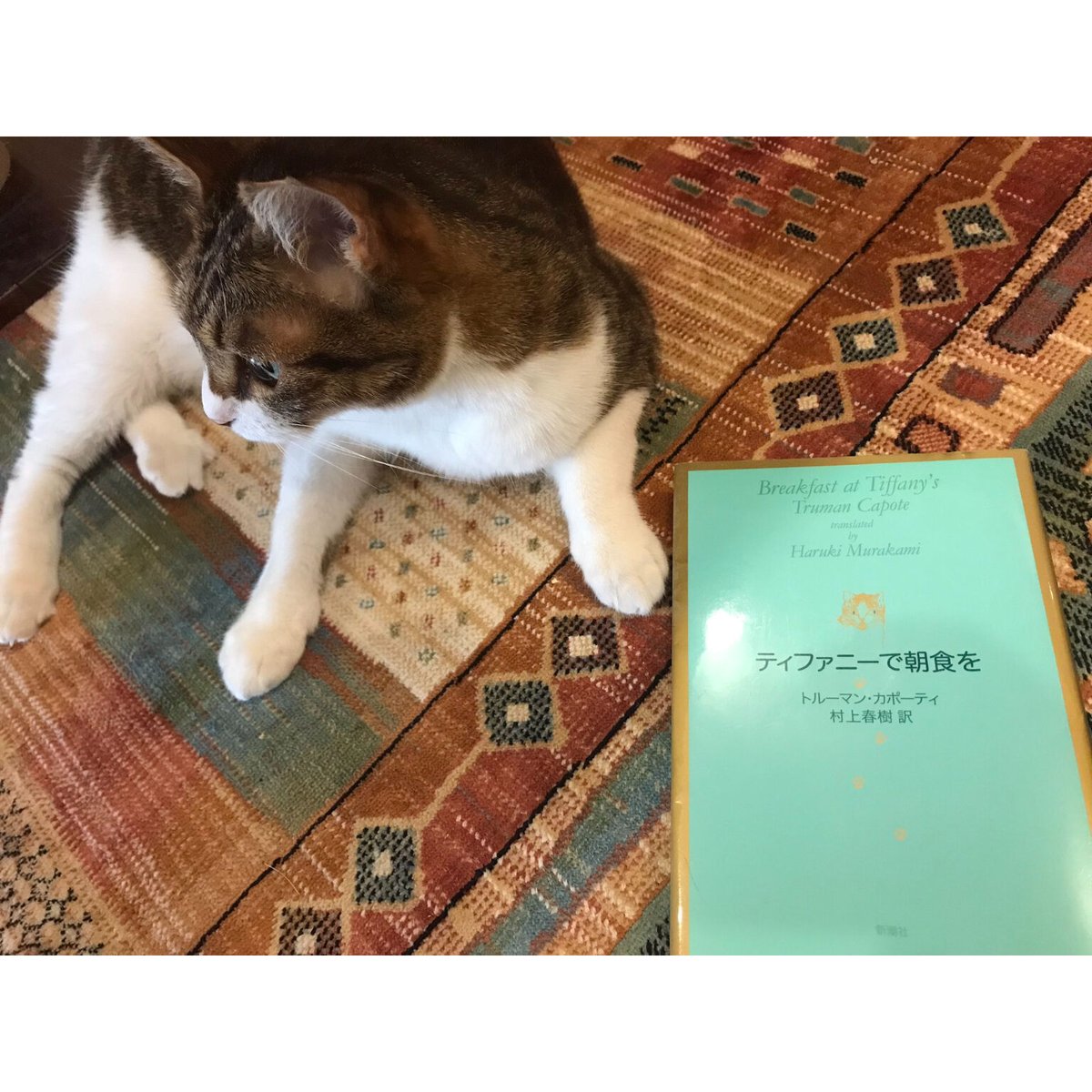 ティファニーで朝食を（単行本） | Cat's Meow Books Virtual Shop β