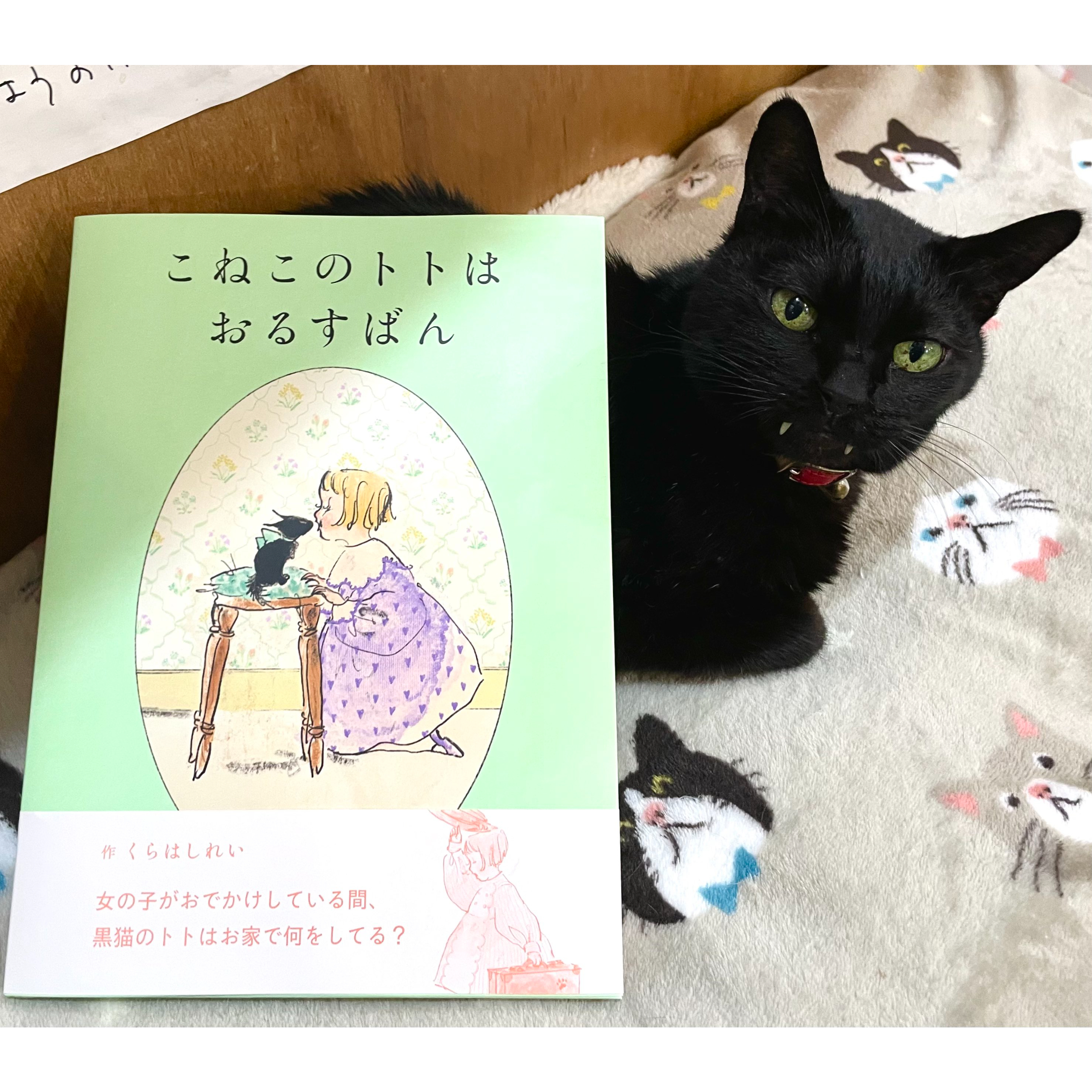 こねこのトトはおるすばん | Cat's Meow Books Virtual Shop β