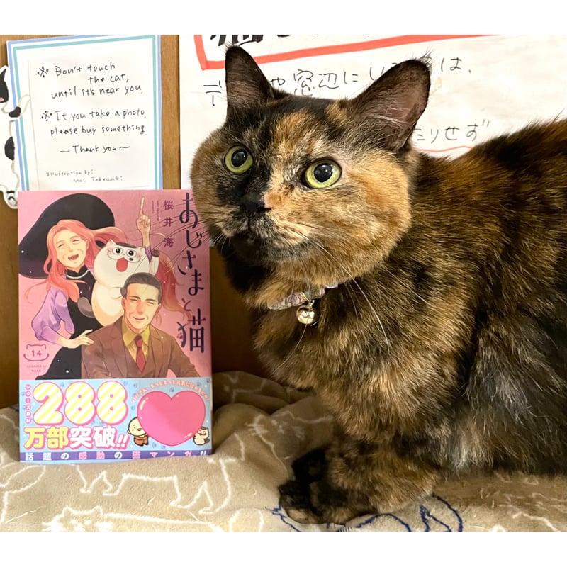 おじさまと猫(1~14巻) | Cat's Meow Books Virtual Shop β おじさまと猫(1~14巻) | Cat's Meow Books Virtual Shop β