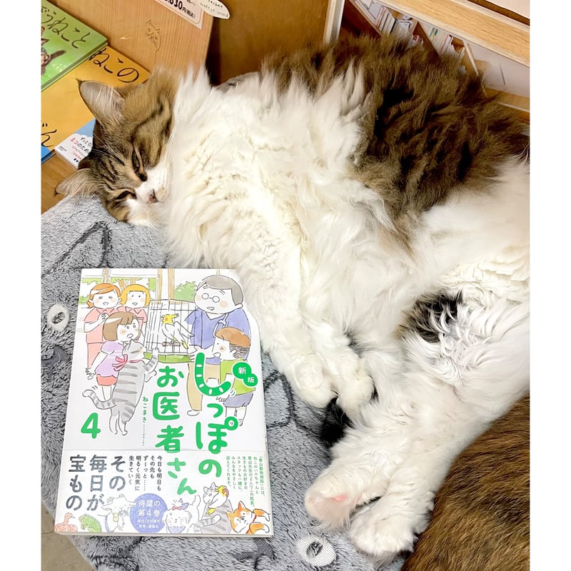 新版 しっぽのお医者さん (1～4巻） | Cat's Meow Books Virtual