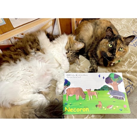 にゃーページ Cat's Meow Books Virtual Shop β