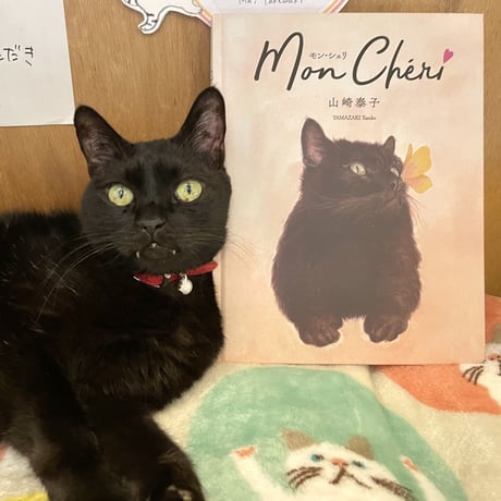 【限定黒猫シルエットサイン入り】Mon Chéri モン・シェリ