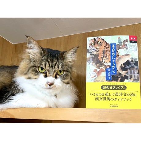 Cat's Meow Books Virtual Shop β